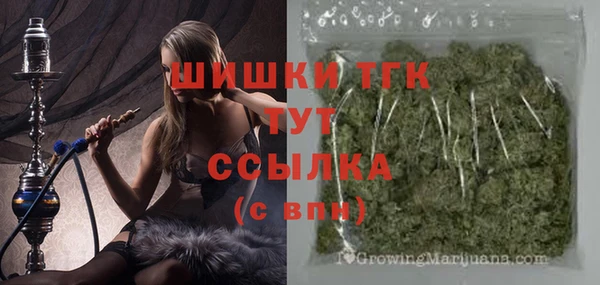гидропоника Бугульма