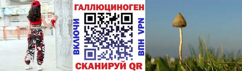 Псилоцибиновые грибы Psilocybine cubensis  Мценск 